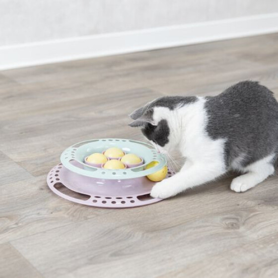 Jouet Junior Kitten Circle