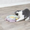 Jouet Junior Kitten Circle