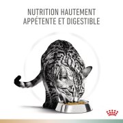 ROYAL CANIN Urinary chat :  S/O, Croquettes Problème Urinaire