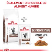 ROYAL CANIN Croquettes chat veterinaire Gastrointestinal