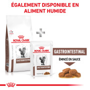ROYAL CANIN Croquettes chat veterinaire Gastrointestinal