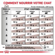 ROYAL CANIN Croquettes chat veterinaire Gastrointestinal
