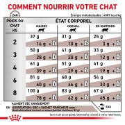 ROYAL CANIN Croquettes chat veterinaire Gastrointestinal