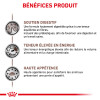 ROYAL CANIN Croquettes chat veterinaire Gastrointestinal