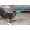 Jouet peluche Bungee Dummy pour chien et chiot