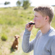 Sifflet en corne de buffle