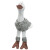Peluche Autruche pour chien