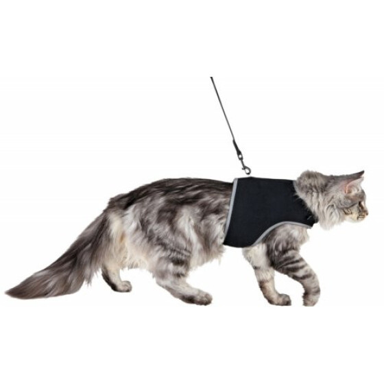 Harnais gros chat comme le Maine Coon Soft XXL noir avec laisse