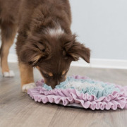 Tapis de fouille junior