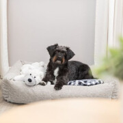 Lit pour chien : mémoire de forme, Déhoussable Vital Noah gris