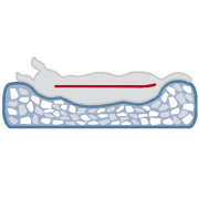 Lit pour chien déhoussable à mémoire de forme