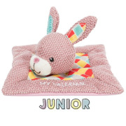 Coussin valériane chat et chaton