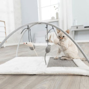 Tapis griffoir chaton