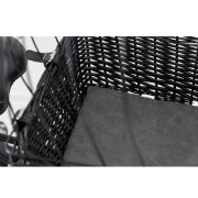 Panier porte-bagages pour chien Noir