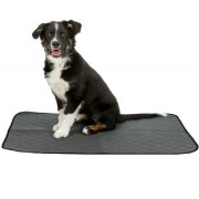 Tapis éducateur Nappy Wash pour chien