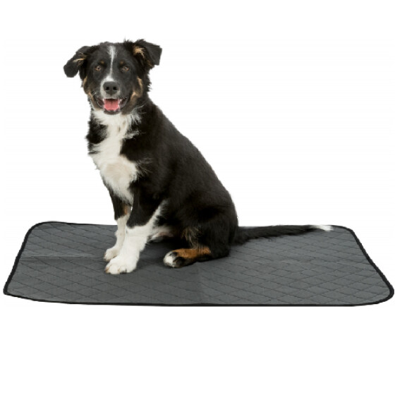 Tapis éducateur Nappy Wash pour chien