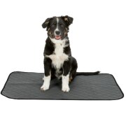 Tapis éducateur Nappy Wash pour chien