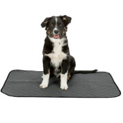 Tapis éducateur Nappy Wash pour chien