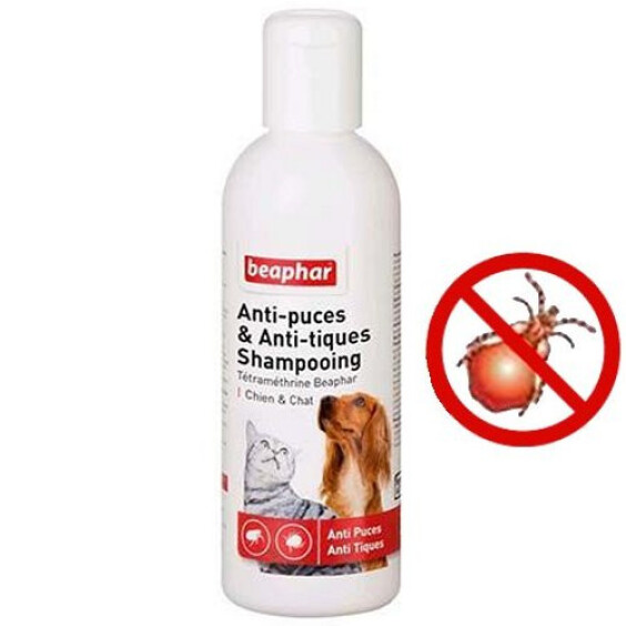Shampoing anti puce chiot chaton anti tique Tetraméthrine Beaphar