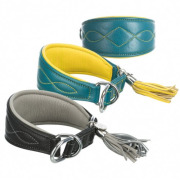 Collier lévrier Active Comfort pétrole