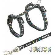 Harnais chaton de 3 mois ou 2 mois laisse