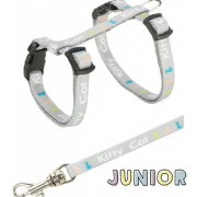 Harnais chaton de 3 mois ou 2 mois laisse