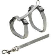 Harnais chat et chaton avec laisse à clip