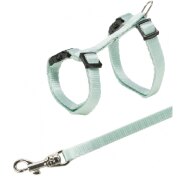 Harnais chat et chaton avec laisse à clip