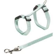 Harnais pour chat et chaton avec laisse à clip