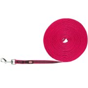 Laisse à pister ROSE