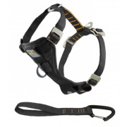 Harnais sécurité voiture noir