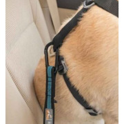 Attache de sécurité voiture