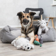 Panier Be Eco Danilo