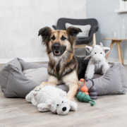 Panier Be Eco Danilo