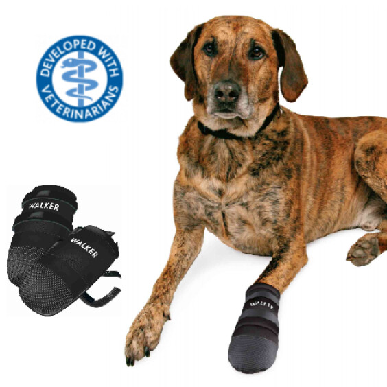 Bottes de protection Walker Care pour chien
