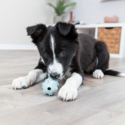 Jouet Junior Haltère pour chiot