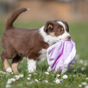 Doudou peluche Junior ultra-doux