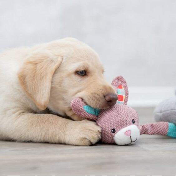 Jouet doudou lièvre pour chiot avec son