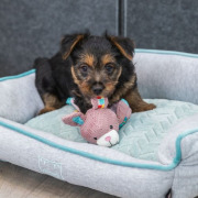 Jouet doudou lièvre pour chiot avec son