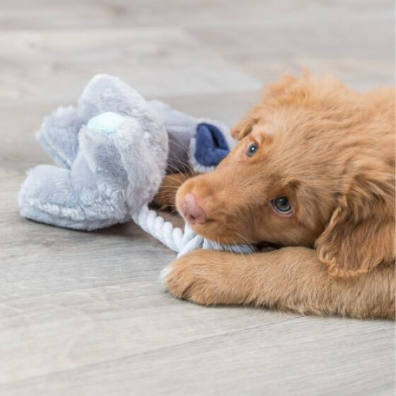 Doudou chien Junior avec son