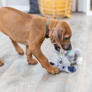 Doudou chien Junior avec son