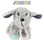 Jouet chien Junior avec son