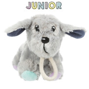 Jouet chien Junior avec son