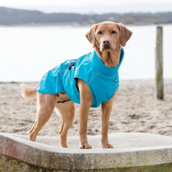 Manteau imperméable Vimy bleu pour chien
