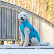 Manteau imperméable Vimy bleu pour chien