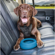 Gamelle anti débordement Splash Freed Bleu