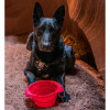 Gamelle pliable Collaps rouge