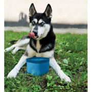 Gamelle de voyage pliable pour chien bleu