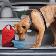 Sac de transport Croquettes Kibble Rouge