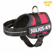 Julius K9 Harnais Power Rouge